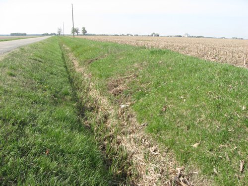 Property photo 26 - 172 Acres Offered in 3 Tracts - Prime Farmland